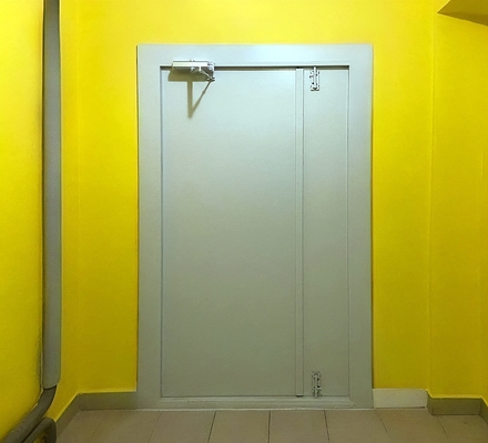 Глухая полуторная дверь Глухая полуторная дверь