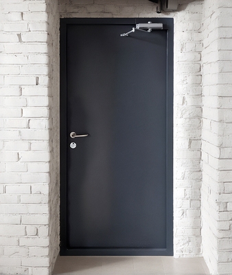 Стальная однопольная дверь